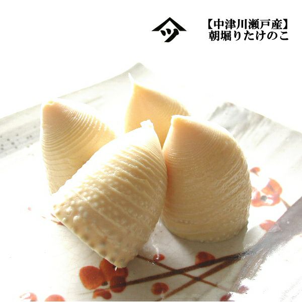 完全無添加（水煮）朝掘りタケノコを即日出荷 | 栗菓子処 やまつ